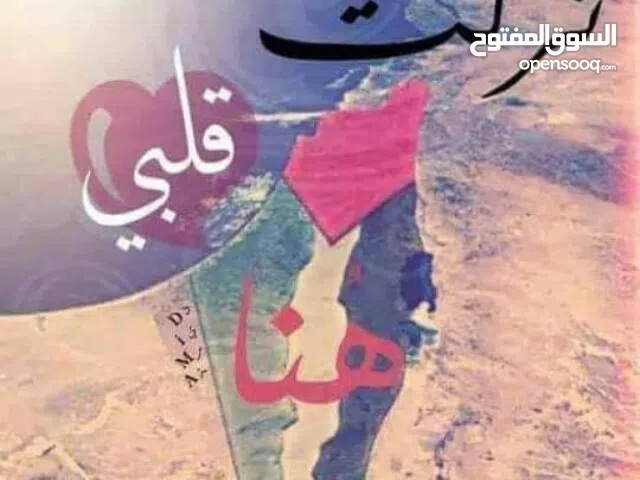 محمد