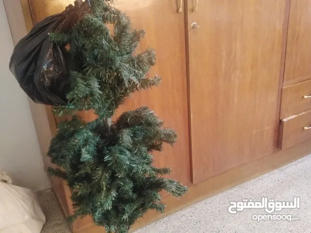 قليل الاستعمال جدا كلش نظيف