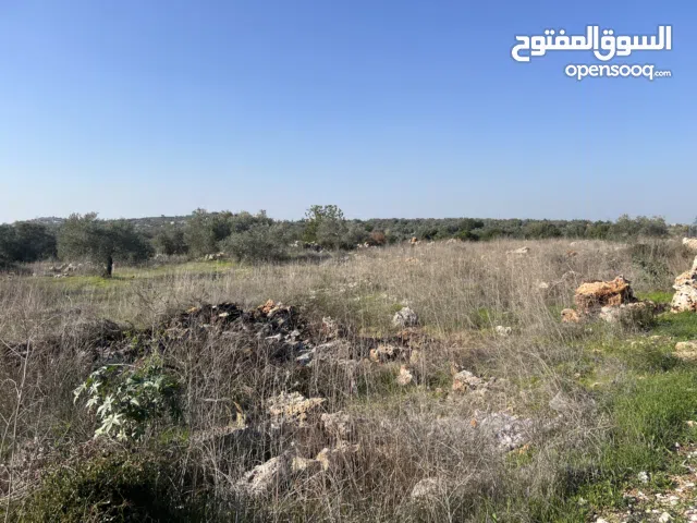 ارض مطلة وحلوة