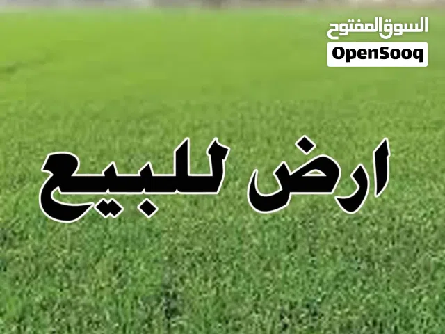 ارض للبيع شفا بدران عيون الذيب