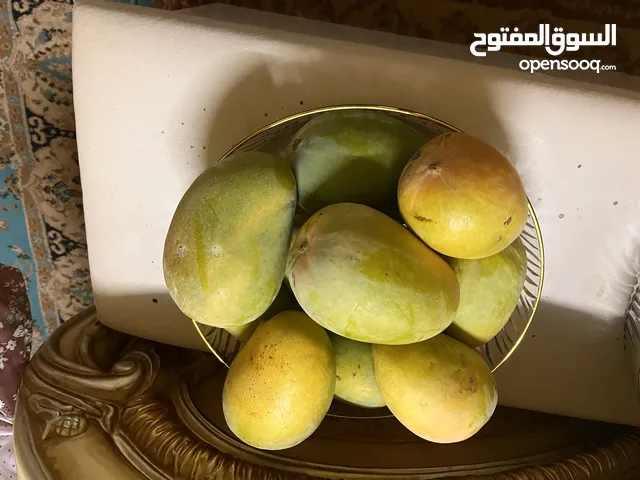 همبا عماني