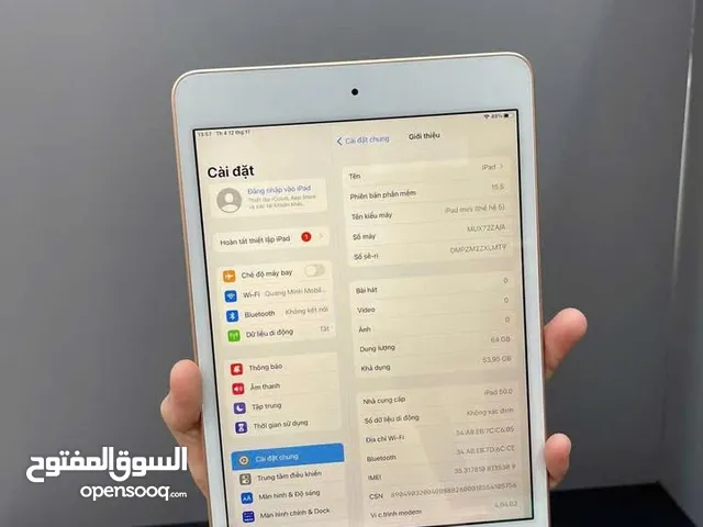 iPad mini 5