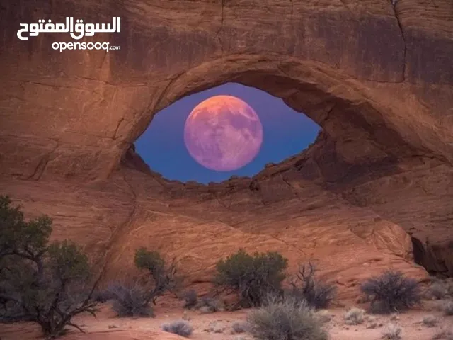 ممول مشروع