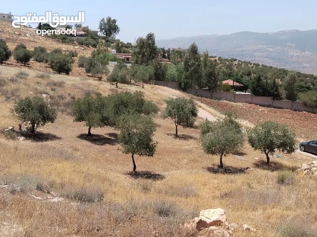 Mixed Use Land for Sale in Jerash Al-Mastaba
