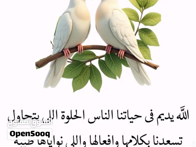 محل خياطه للبيع او الضمان