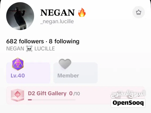 TIKTOK ACCOUNT LEVEL 40