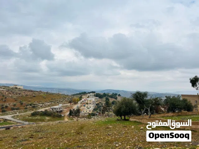 Residential Land for Sale in Zarqa Birayn