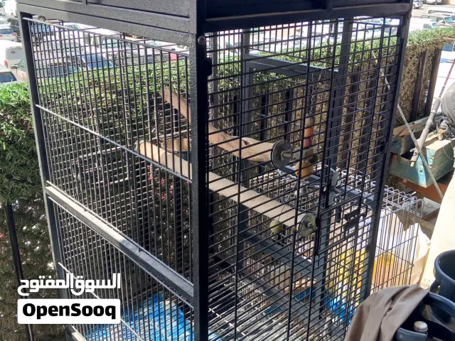 قفص  طويل 170 سم و كبير