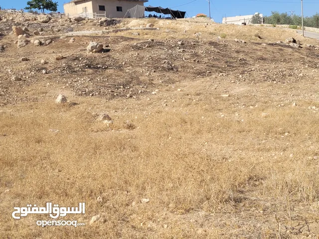 ارض سكنية للبيع