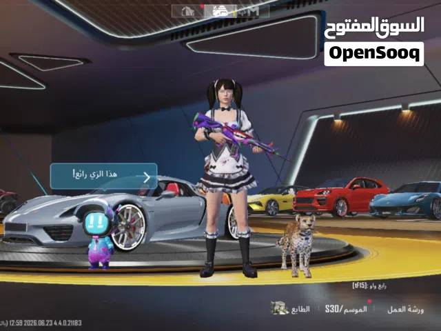 Pubg Accounts and Characters for Sale in Jenin