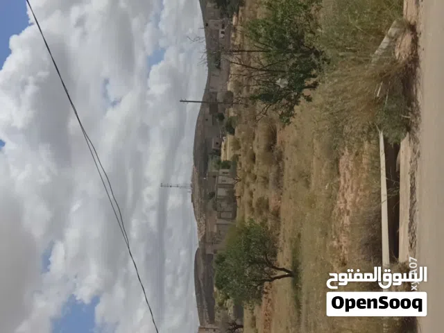 قطعة ارض زراعية للبيع في ترهونة، الخضراء