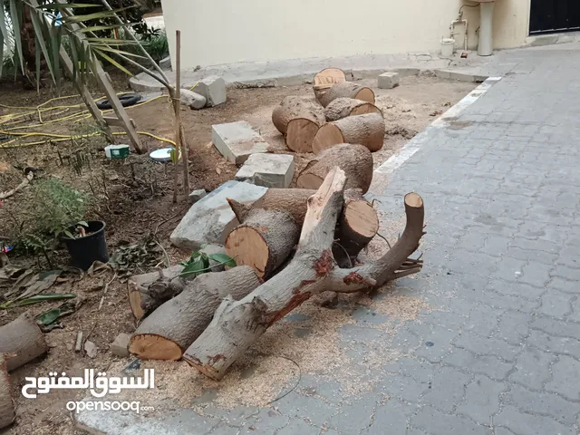 الخشب للفحم