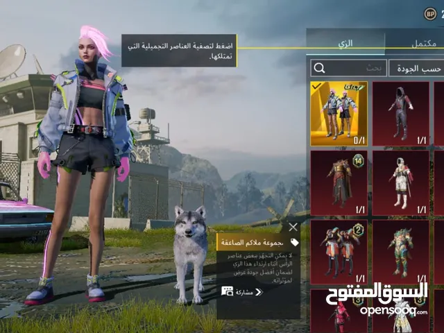 Pubg Accounts and Characters for Sale in Al Madinah