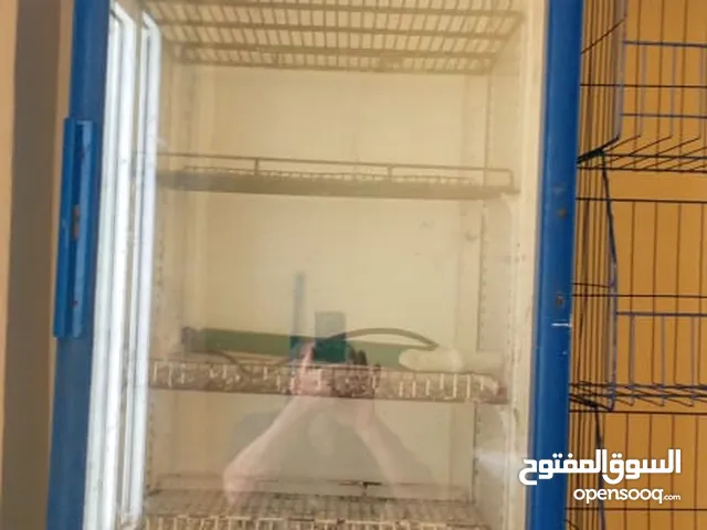 Ignis Refrigerators in Al Karak
