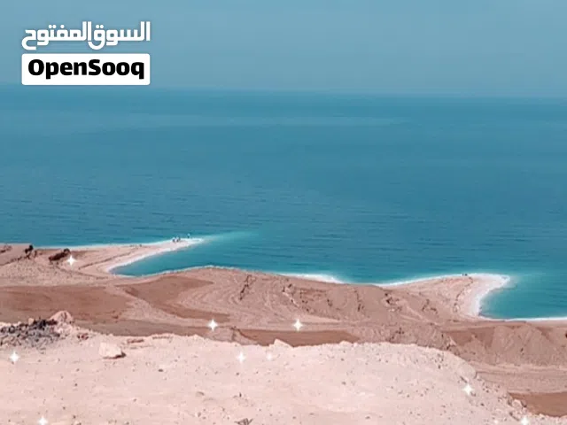 مطلوب شقة صغيرة لعائلة صغيرة