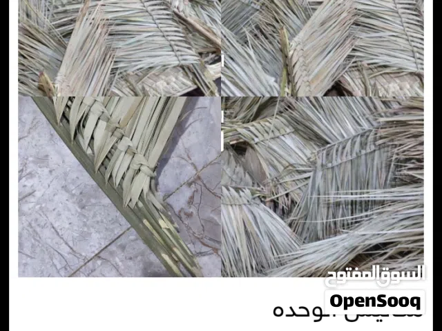 مكانيس الوحده بخمسميه خوص