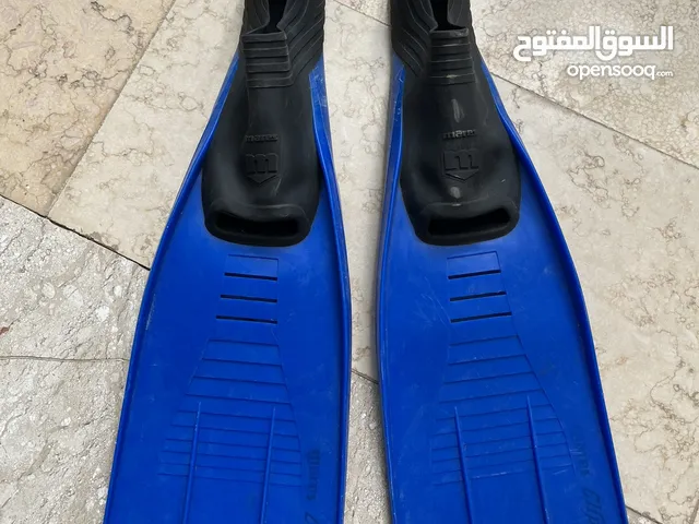 ريشات مارس