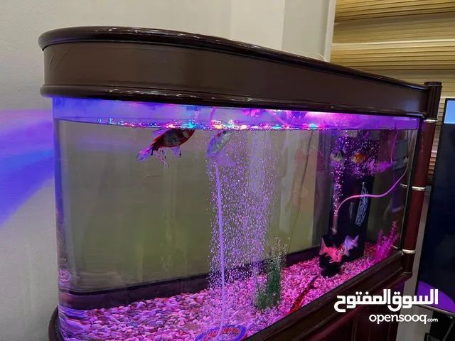 للبيع: حوض سمك فاخر بإضاءة مميزة وتصميم أنيق