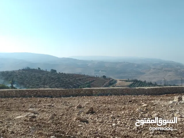 ارض بتل الرمان ابو مراره قرب مسجد البداد اطلاله غربيه شمالية