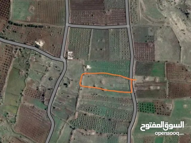 Farm Land for Sale in Suwayda Other
