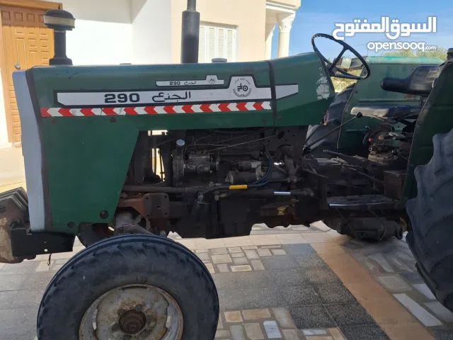 جذع 290 نظيف في بنقردان