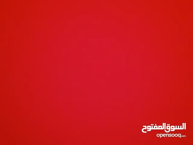مطلوب صوص بلدي