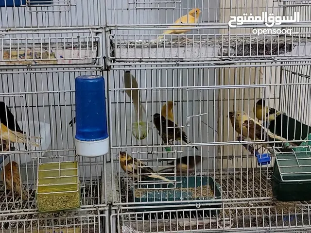 متاح غرفة حسون ترابي و كنار مشكلة