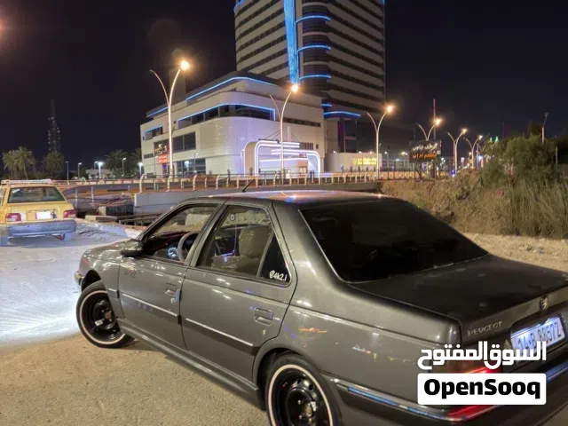2024 بيجو اخرى