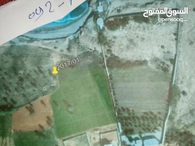 Mixed Use Land for Sale in Qasr Al-Akhiar Other
