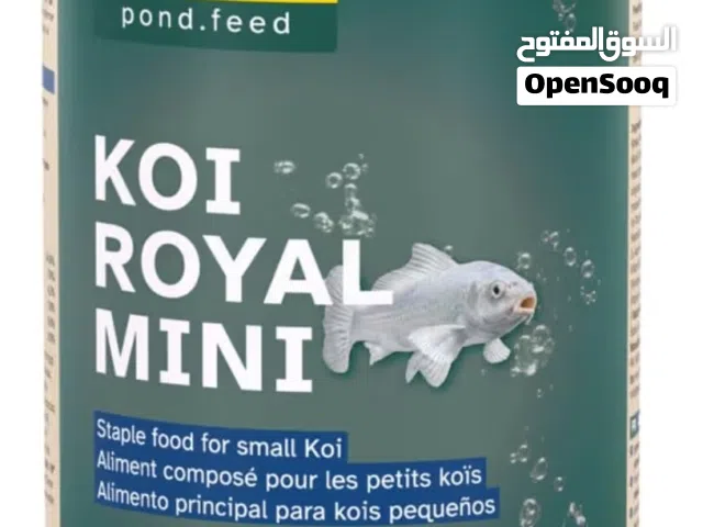 fish food new