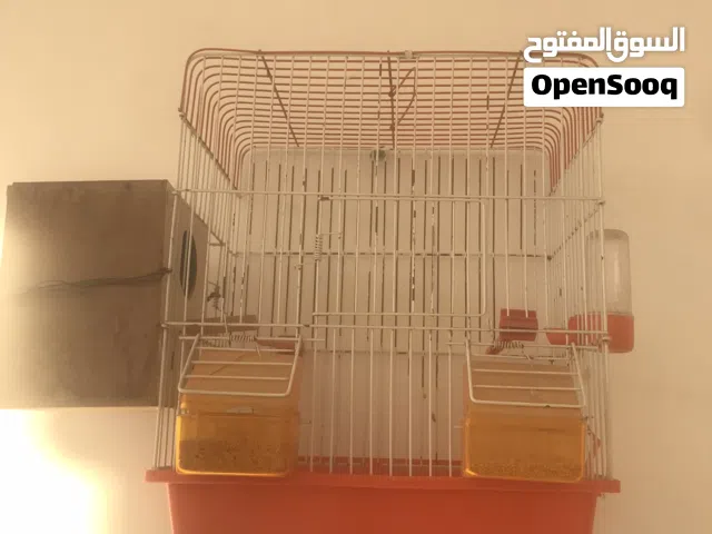 قفص للبيع بحضانته باموره
