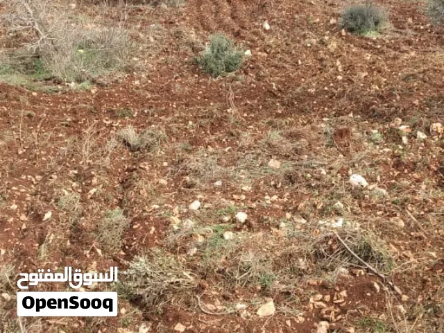 Mixed Use Land for Sale in Ajloun Barqash