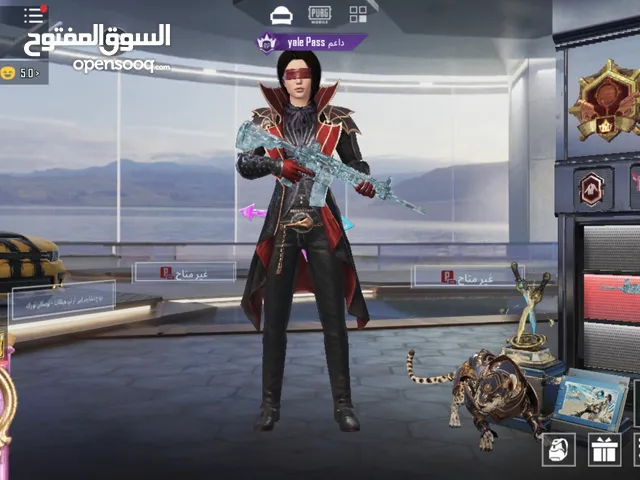 حساب ببجي مرتب