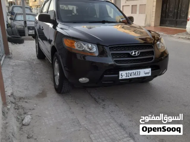 2007 Hyundai Santa Fe Standard