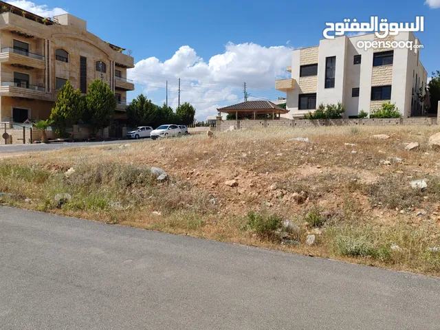 Residential Land for Sale in Amman Shafa Badran