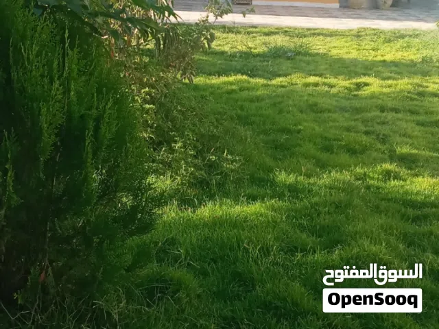 منزل مشجر بالكامل للبييع في ضواحي طرابلس