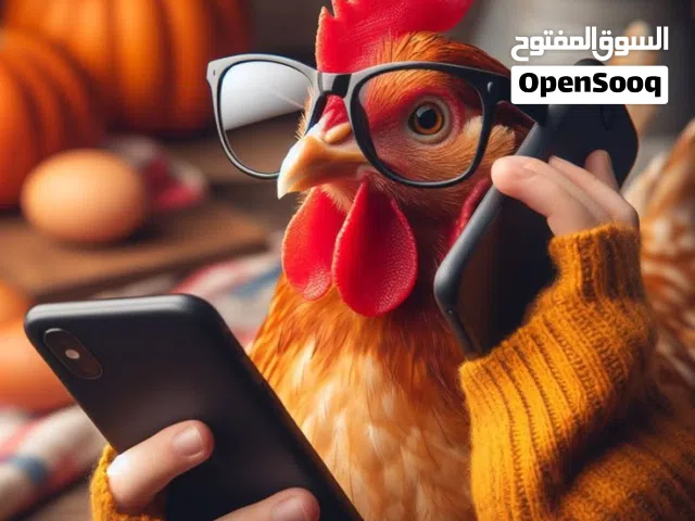 اعلان دجاج تشيكن يجذب الذبائن  في الرياض وجده ومكة بطريقة احترفية