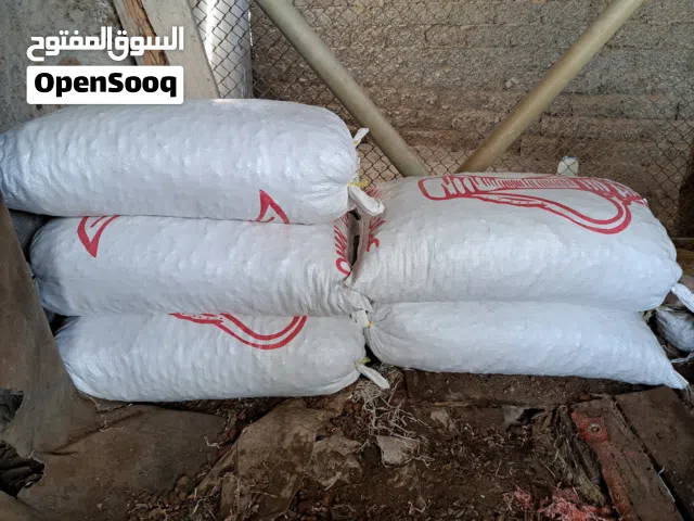 تمر نفيعه انتاج السنه نغال للحيوان