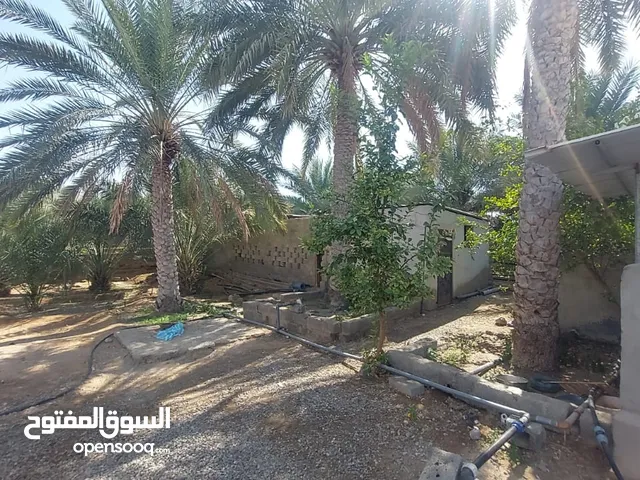 أرض سكنية بولاية الرستاق الحزم بمساحة كبيرة و مزروعة بأكثر م 40 نخلة ويوجد بها بئر مصرح مع منزل للب