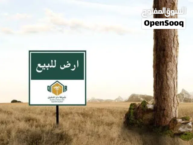 أرض سكنيه. الحسانيه