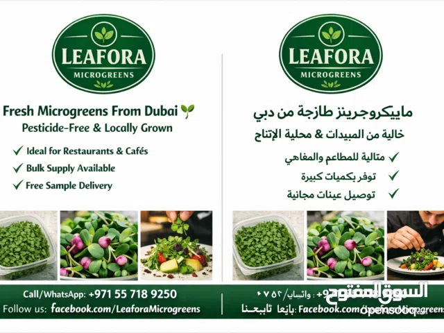 Microgreens available in UAE. Oder now