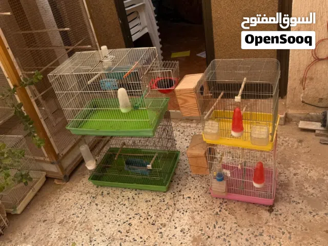 اقفاص ابعصافير