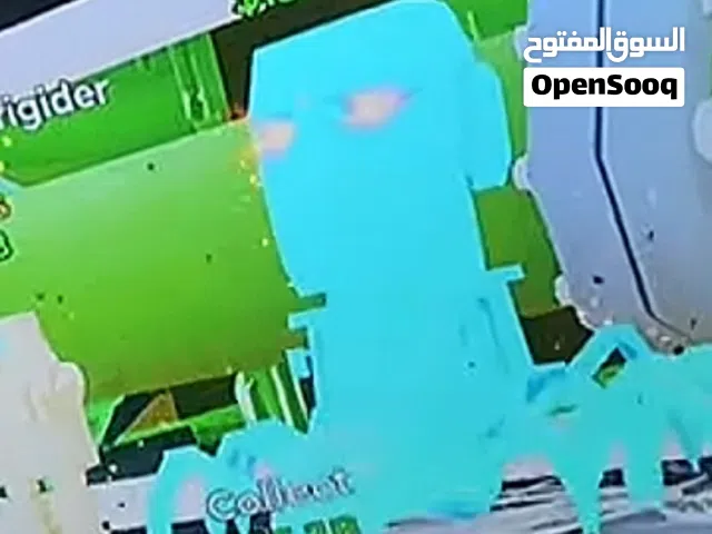 عنكبوت ماب السرقه