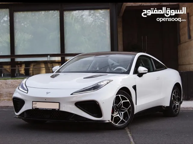 Used Neta GT in Amman