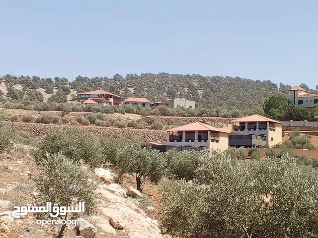 ارض منبسطه بالكامل جرش ام قنطره واصل الخدمات قرب الاتوستراد منطقة فلل