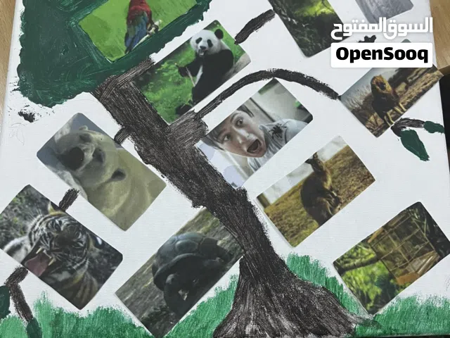معلمة لغة انجليزية