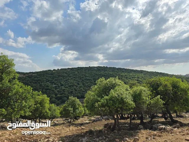 Farm Land for Sale in Ajloun A'fna