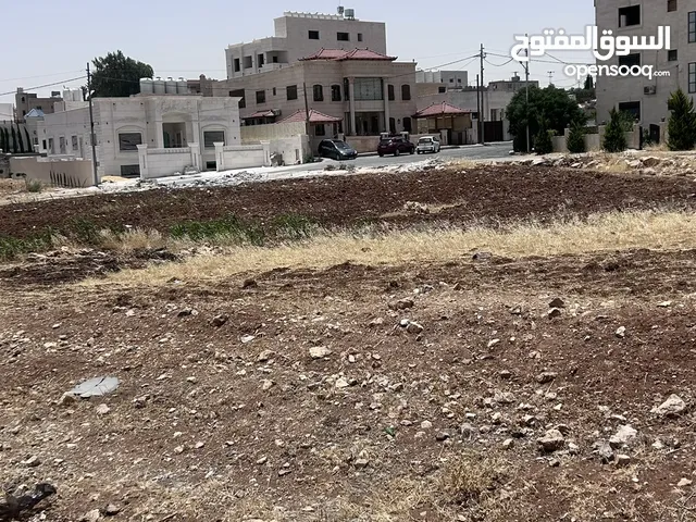 نصف دونم قريبة من اسكان الصيادلة اليادوده منطقة فلل مخدومة وهادئة