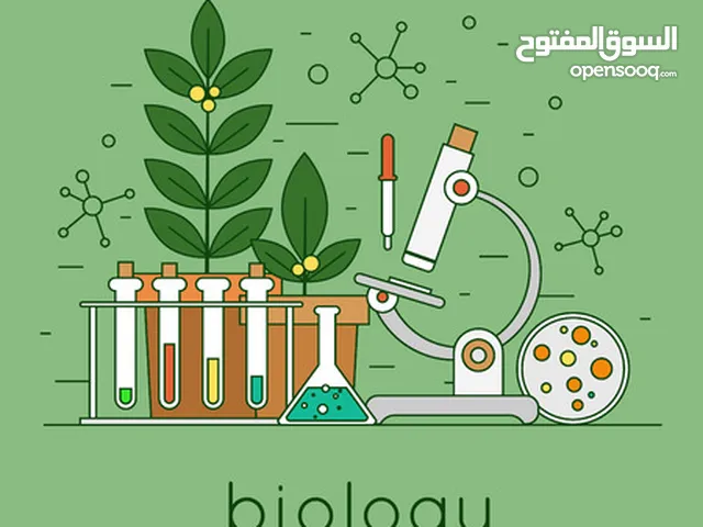 بشائر عزمي سعدي النتشة