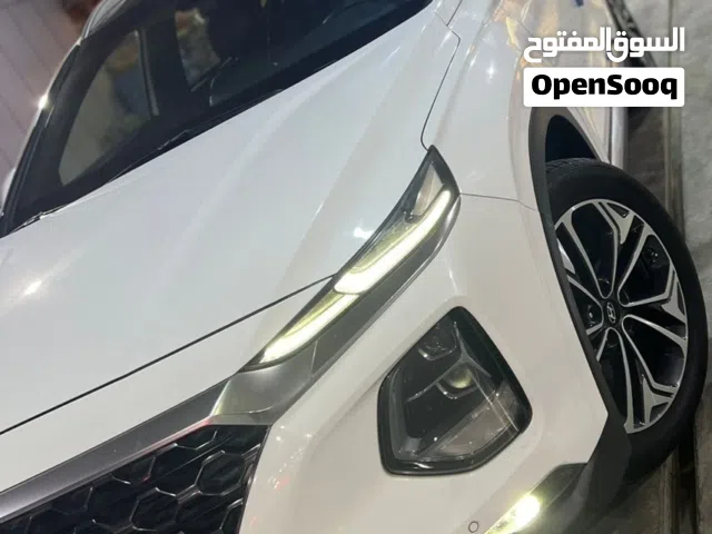 سنتافي 2019 خليجي 6 سلندر، 7 راكب مكفول رقم بغداد انكليزي